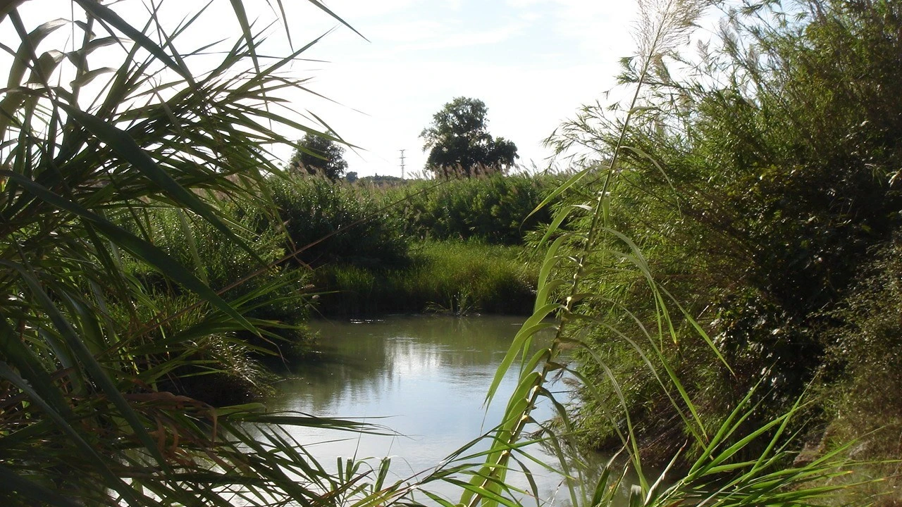 Imagen de archivo de contaminación De Las Aguas Residuales Industriales