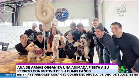 La divertida fiesta de Ana de Armas para celebrar los 16 años de su perro Elvis La divertida fiesta de Ana de Armas para celebrar los 16 años de su perro Elvis