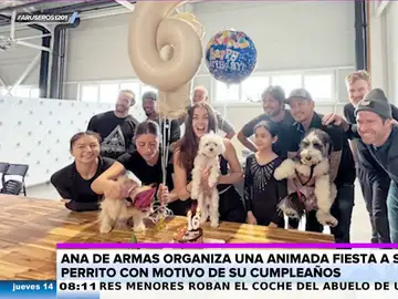 La divertida fiesta de Ana de Armas para celebrar los 16 años de su perro Elvis