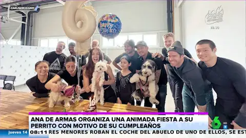 La divertida fiesta de Ana de Armas para celebrar los 16 años de su perro Elvis
