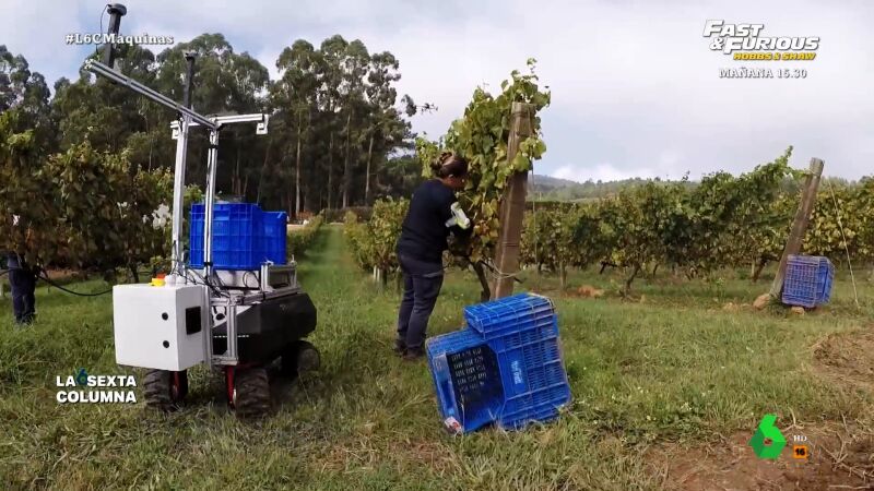 La inteligencia artificial aplicada al vino: de reducir la inversión un 50% a "cuidar la salud del suelo, el aire y las uvas"