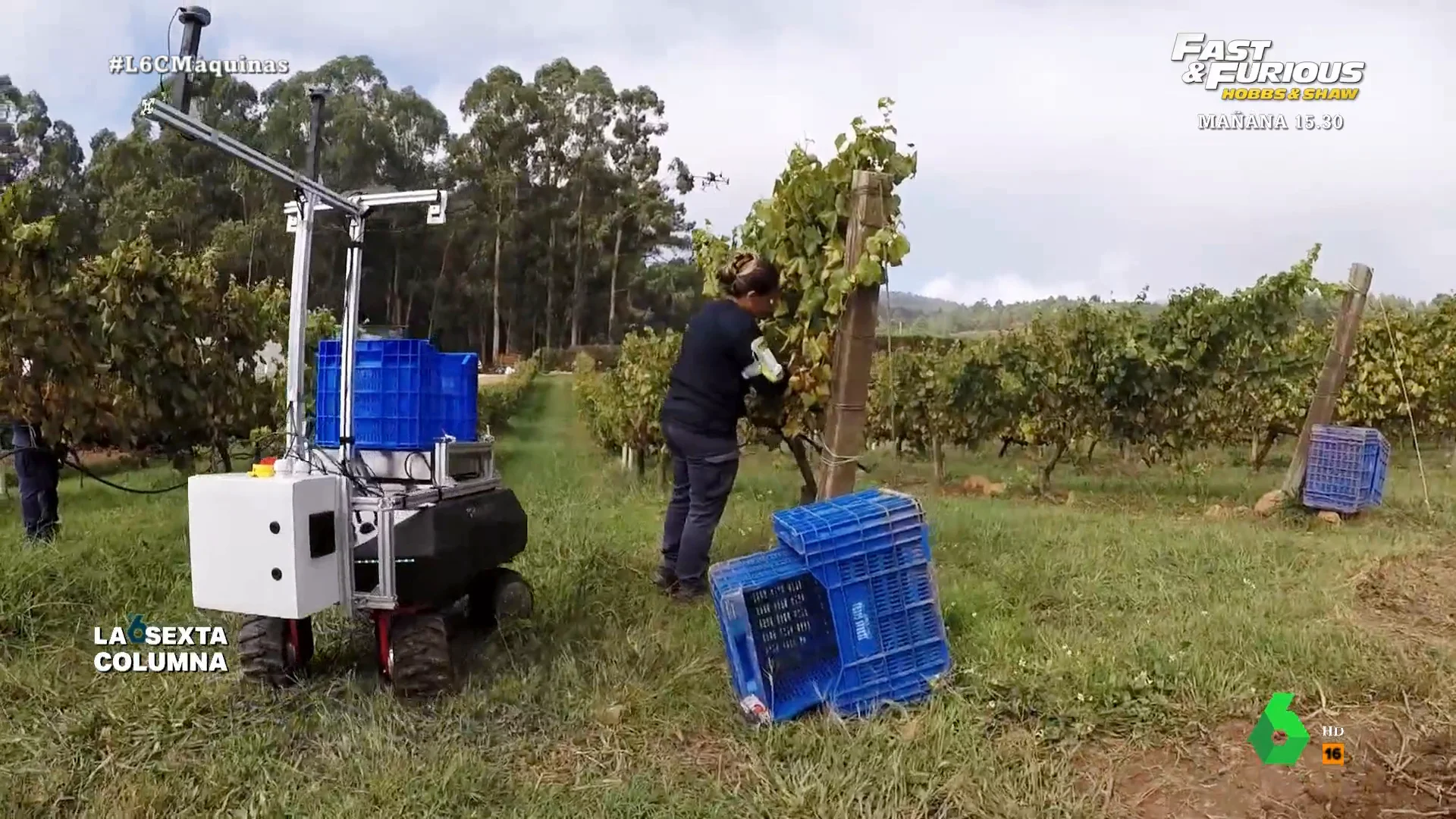 laSexta Columna visita en este vídeo un viñedo de Pontevedra que ha revolucionado su explotación con drones, robots e inteligencia artificial que les permite adelantarse en la detección de posibles enfermedades en las uvas.