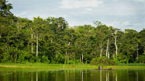 Amazonas