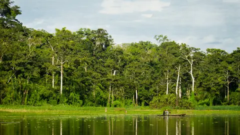 Amazonas Amazonas