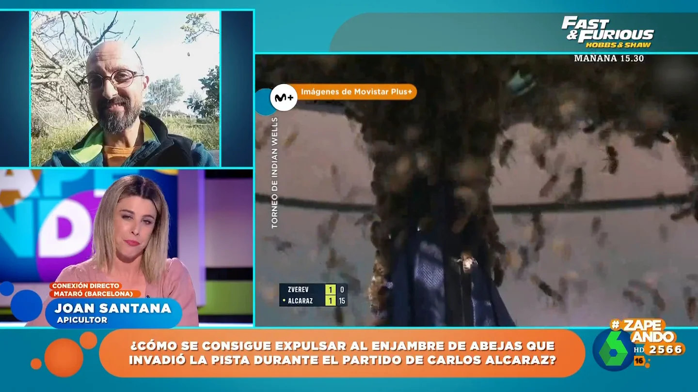 ¿Qué tenemos que hacer con un panal de abejas? ¿Qué tenemos que hacer con un panal de abejas?