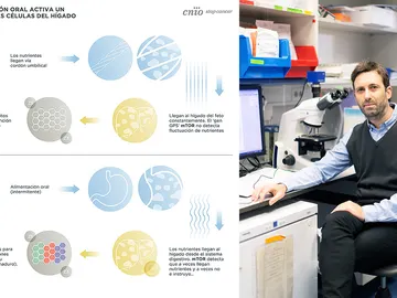 Investigador e infografía Investigador e infografía