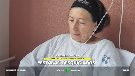 ataque perros ataque perros