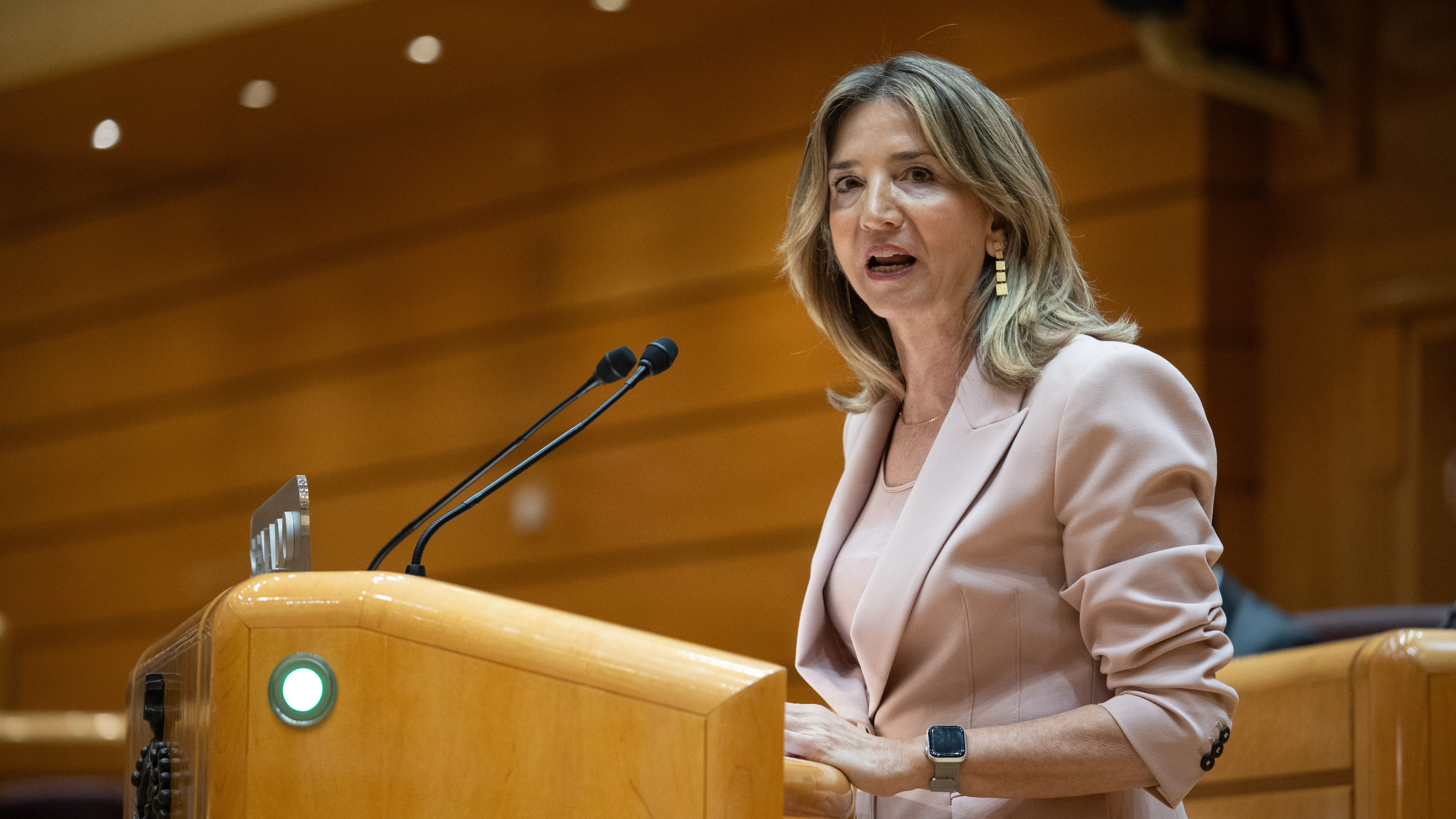 La portavoz del PP del Senado, Alicia García, durante su intervención en el Senado