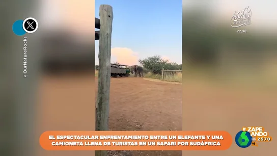 El espectacular 'enfrentamiento' entre un elefante y un camión lleno de turistas en un safari El espectacular 'enfrentamiento' entre un elefante y un camión lleno de turistas en un safari