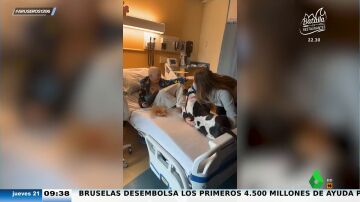 El tierno encuentro entre un niño con cáncer y un perro en el hospital