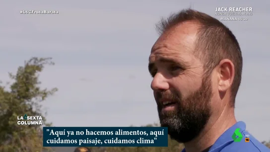 columna 11 columna 11