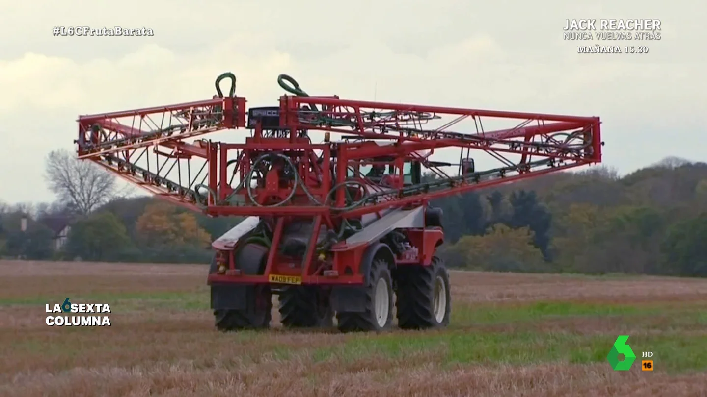 La lucha por los pesticidas entre los agricultores y la UE: "Si se permiten en otros países, ¿por qué nosotros no los podemos utilizar?" La lucha por los pesticidas entre los agricultores y la UE: "Si se permiten en otros países, ¿por qué nosotros no los podemos utilizar?"