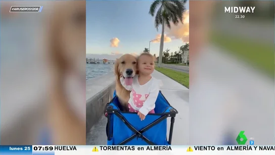 La tierna amistad entre un bebé y su perro: así de bien se lo pasan esta niña y su golden retriever La tierna amistad entre un bebé y su perro: así de bien se lo pasan esta niña y su golden retriever
