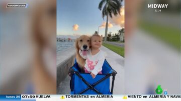 La tierna amistad entre un bebé y su perro: así de bien se lo pasan esta niña y su golden retriever