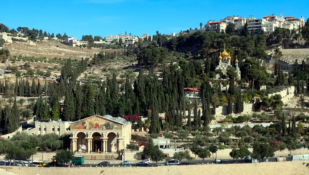 Monte de los Olivos. Jerusalén