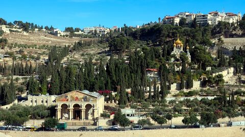 Monte de los Olivos. Jerusalén