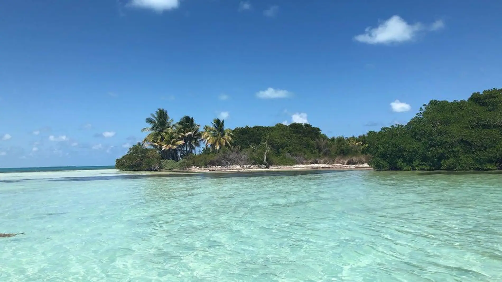 Cayo Culebra, una isla virgen que está a la venta