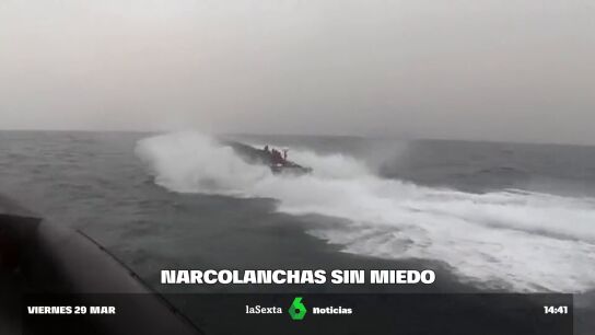 "Han perdido totalmente el miedo"