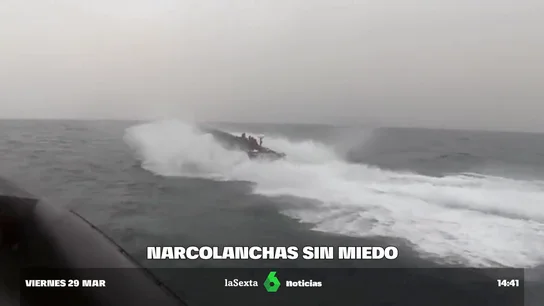 "Han perdido totalmente el miedo" "Han perdido totalmente el miedo"