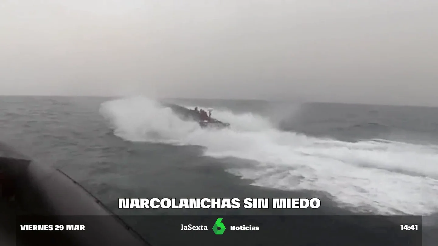 "Han perdido totalmente el miedo" "Han perdido totalmente el miedo"
