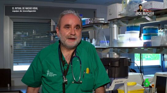 Un experto en toxicolog&iacute;a alerta del veneno de sapo bufo