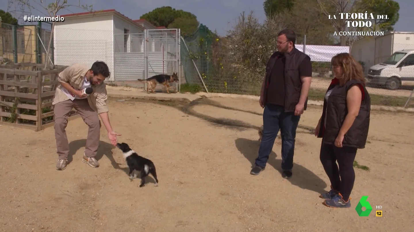 Isma Juárez consigue que en la Fundación Animal Rescue rebauticen a una perrita en su honor Isma Juárez consigue que en la Fundación Animal Rescue rebauticen a una perrita en su honor