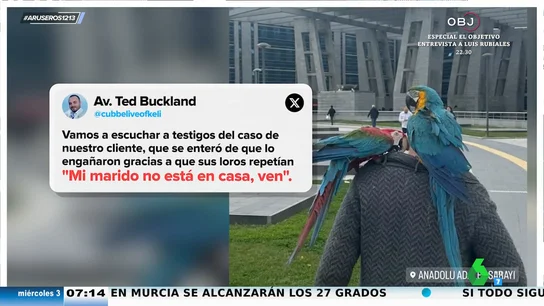 Infidelidad loro Infidelidad loro