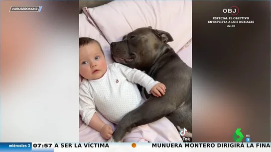 Los vídeos virales más tiernos de bebés con sus perros: de las siestas abrazaditos a los masajes con los pies Los vídeos virales más tiernos de bebés con sus perros: de las siestas abrazaditos a los masajes con los pies