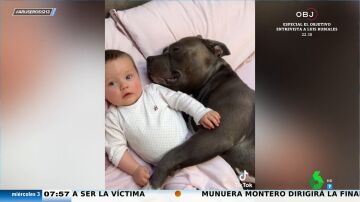 Los vídeos virales más tiernos de bebés con sus perros: de las siestas abrazaditos a los masajes con los pies