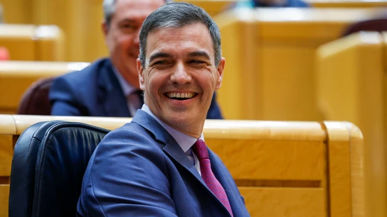 Imagen de archivo del presidente del Gobierno, Pedro Sánchez, en el Senado. Imagen de archivo del presidente del Gobierno, Pedro Sánchez, en el Senado.