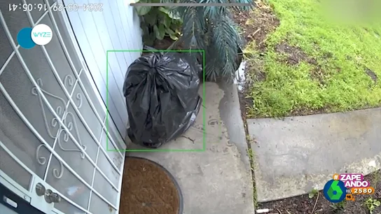 Un ladrón se disfraza de bolsa de basura para robar Un ladrón se disfraza de bolsa de basura para robar