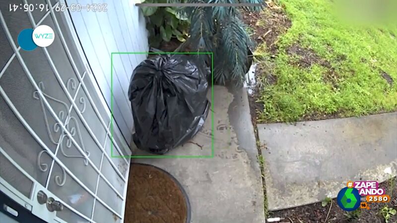 Un ladrón se disfraza de bolsa de basura para robar