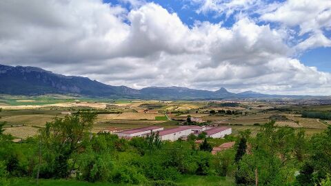Panorámica de Rioja Alavesa