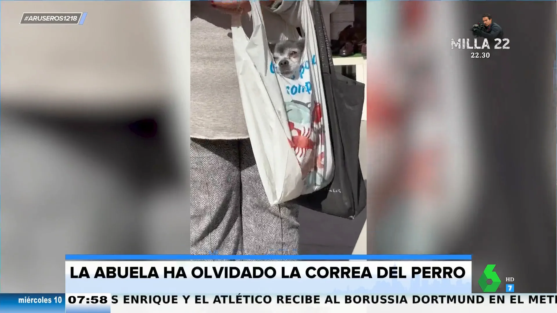 Abuela pasea a perro en bolsa