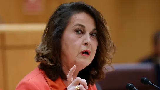 Imagen de archivo de Carla Antonelli en el Senado. Imagen de archivo de Carla Antonelli en el Senado.