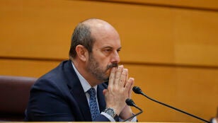 El presidente del Senado, Pedro Roll&aacute;n, durante su intervenci&oacute;n en el pleno del Senado celebrado este mi&eacute;rcoles.