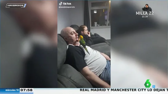 "Es un auténtico chollo": la reacción de Alfonso Arús al loro que te suministra los snacks "Es un auténtico chollo": la reacción de Alfonso Arús al loro que te suministra los snacks