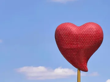 Desarrollan un método que detecta la insuficiencia cardiaca Desarrollan un método que detecta la insuficiencia cardiaca