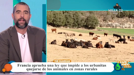 Dani Mateo, a los urbanitas que se quejan de los animales en zonas rurales: "Quedaos en la ciudad si no sabéis estar" Dani Mateo, a los urbanitas que se quejan de los animales en zonas rurales: "Quedaos en la ciudad si no sabéis estar"