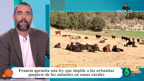 Dani Mateo, a los urbanitas que se quejan de los animales en zonas rurales: "Quedaos en la ciudad si no sabéis estar"