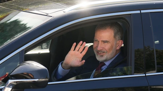 Felipe VI Felipe VI