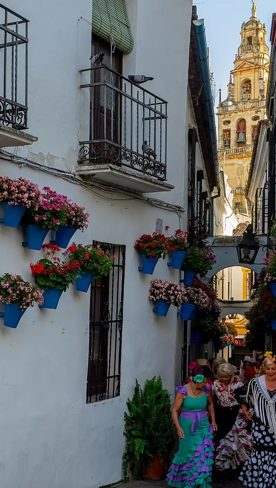 Calleja de las Flores, Córdoba