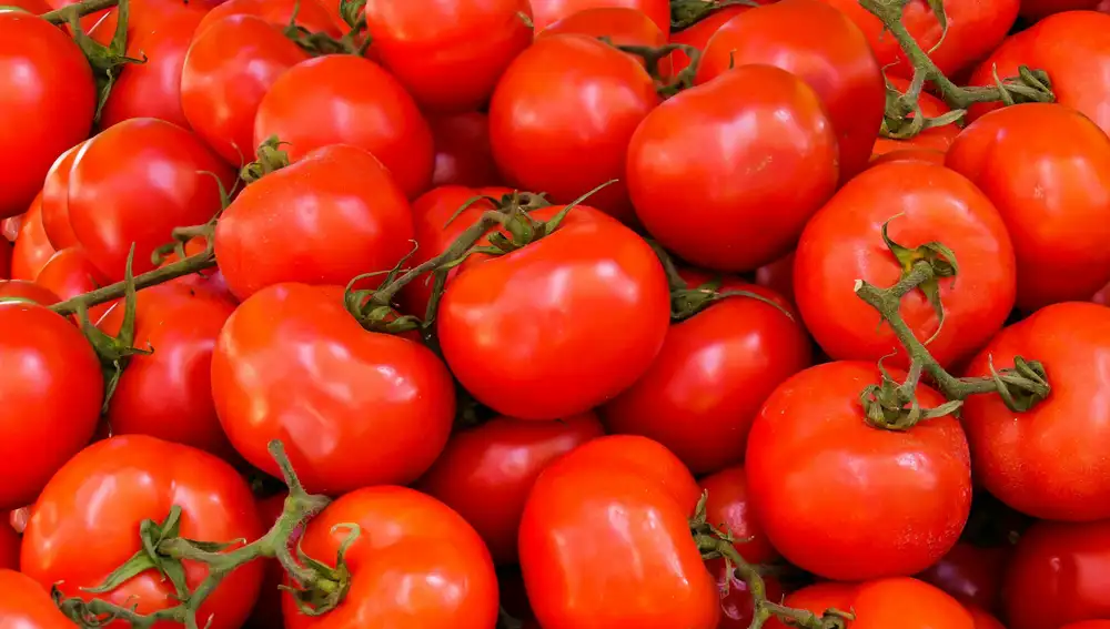 Tomates Tomates