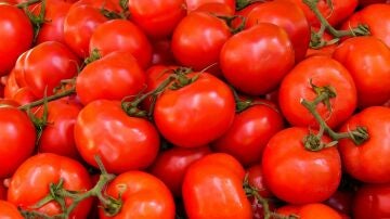Tomates
