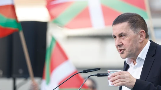 Arnaldo Otegi, coordinador general de EH Bildu, en un acto de campaña en Irun Arnaldo Otegi, coordinador general de EH Bildu, en un acto de campaña en Irun