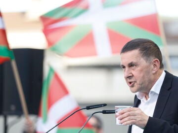 Arnaldo Otegi, coordinador general de EH Bildu, en un acto de campa&ntilde;a en Irun