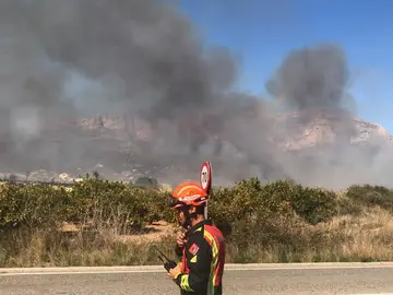 Incendio en el Barranco de la Hiedra de Xàbia