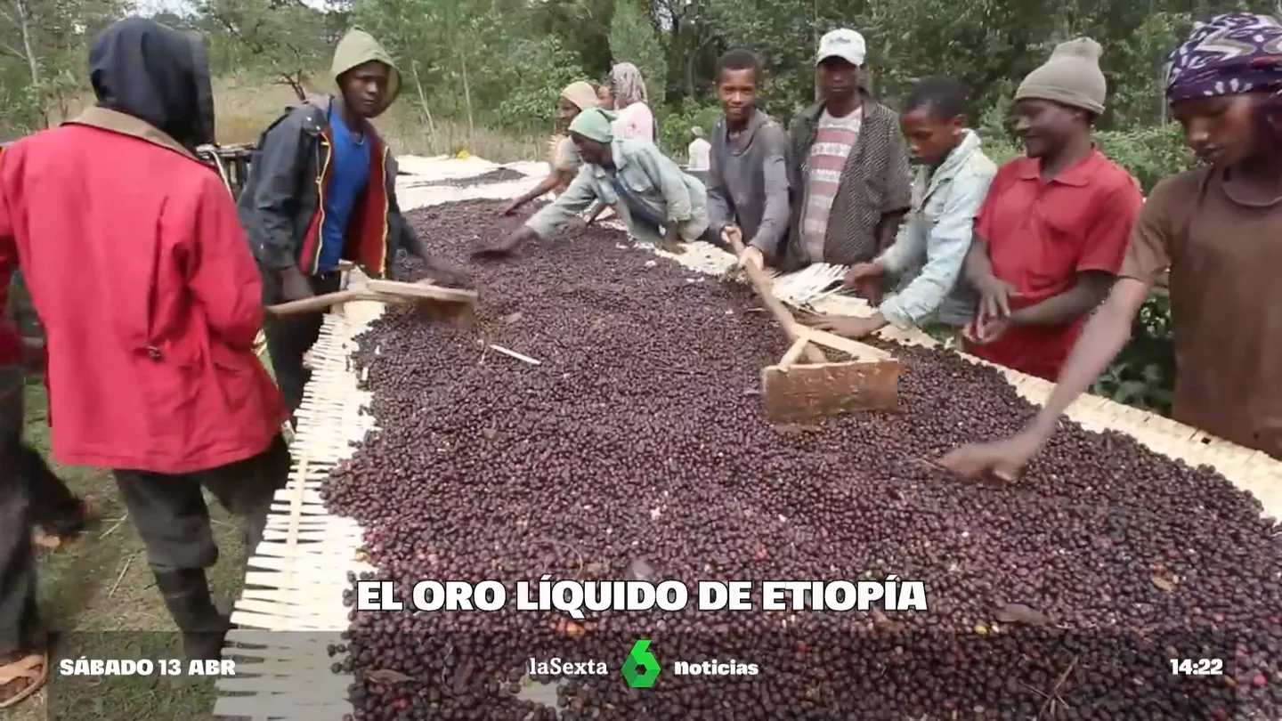 La Unión Europea podría dejar de comprar café a Etiopía La Unión Europea podría dejar de comprar café a Etiopía