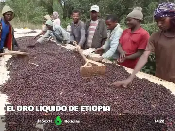 La Unión Europea podría dejar de comprar café a Etiopía