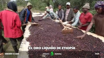 La Unión Europea podría dejar de comprar café a Etiopía